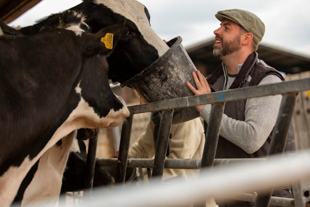 Servicios agrícolas y ganaderos en Murcia